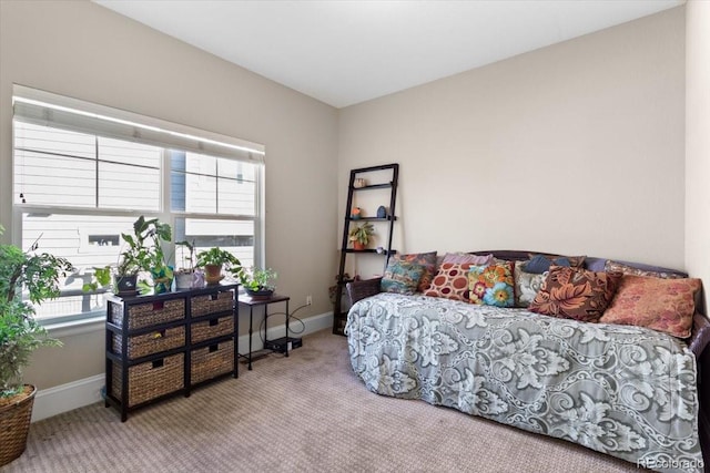 4236 Frederick Cir, Longmont, CO 80503 - bedroom featuring carpet floors and baseboards