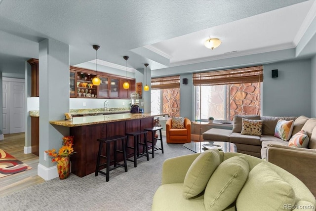 4236 Frederick Cir, Longmont, CO 80503 - living area with wet bar, crown molding, a raised ceiling, light wood finished floors, and baseboards