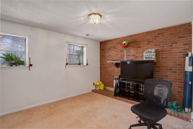 living area featuring a textured ceiling and carpet flooring