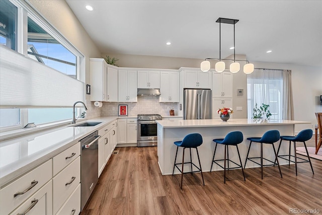 5189 Vivian St, Wheat Ridge, CO 80033 - kitchen with stainless steel appliances, under cabinet range hood, a breakfast bar, wood finished floors, and plenty of natural light