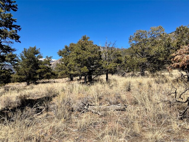 251 Baca Grant Way, Crestone, CO 81131