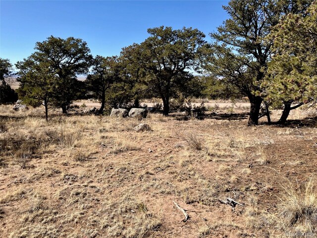 251 Baca Grant Way, Crestone, CO 81131