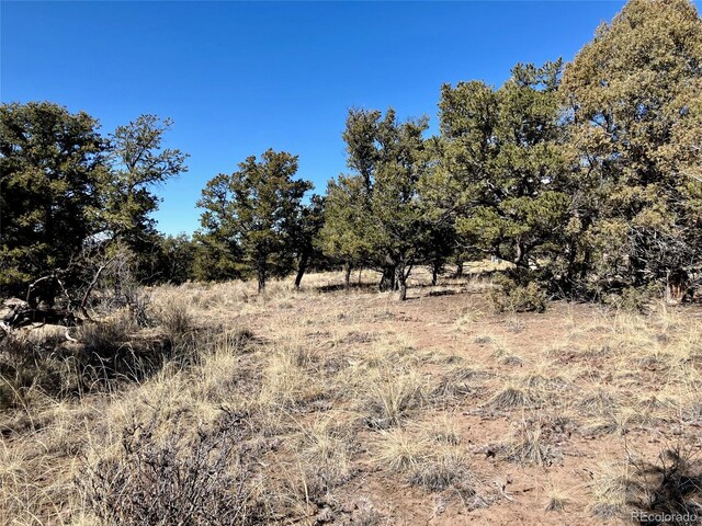 251 Baca Grant Way, Crestone, CO 81131