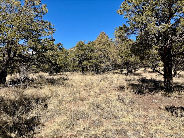 251 Baca Grant Way, Crestone, CO 81131