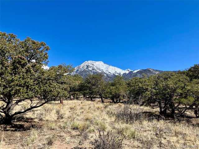 251 Baca Grant Way, Crestone, CO 81131