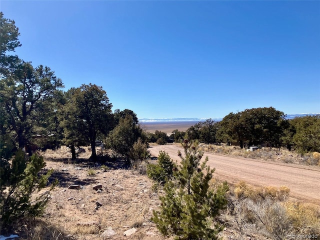 251 Baca Grant Way, Crestone, CO 81131