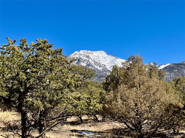 251 Baca Grant Way, Crestone, CO 81131