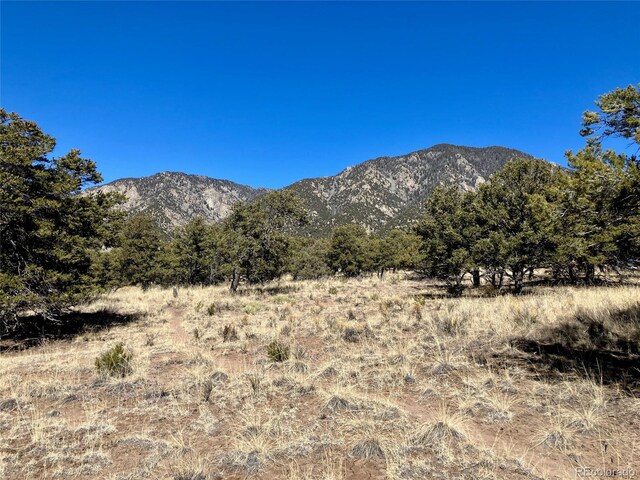251 Baca Grant Way, Crestone, CO 81131