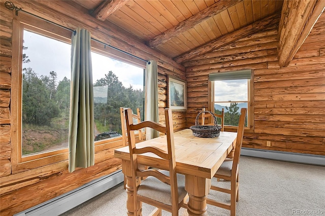 25704 Shiloh, Conifer, CO 80433 - photo 6