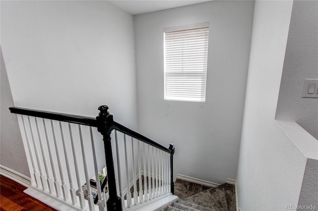 21418 E Stroll Ave, Parker, CO 80138 - stairway with plenty of natural light and baseboards