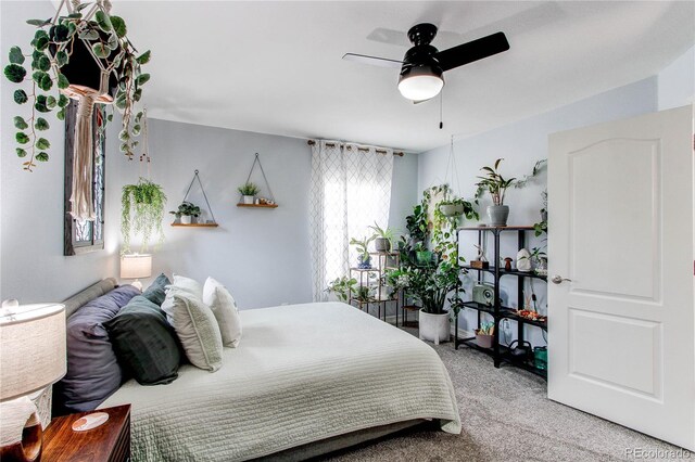 21418 E Stroll Ave, Parker, CO 80138 - carpeted bedroom with ceiling fan