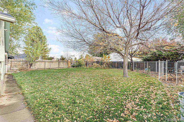 view of yard featuring a fenced backyard
