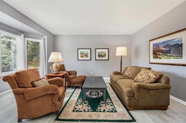 living room featuring light wood-type flooring