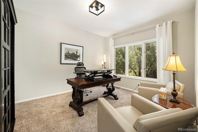 home office featuring light colored carpet