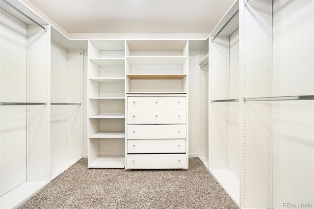 spacious closet with carpet