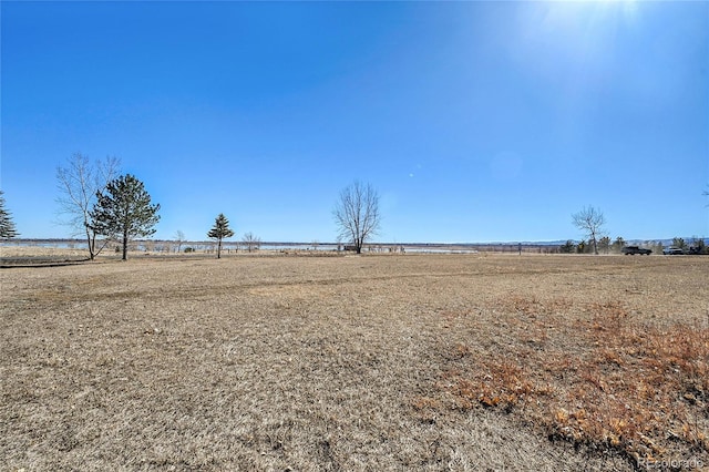 view of yard featuring a rural view