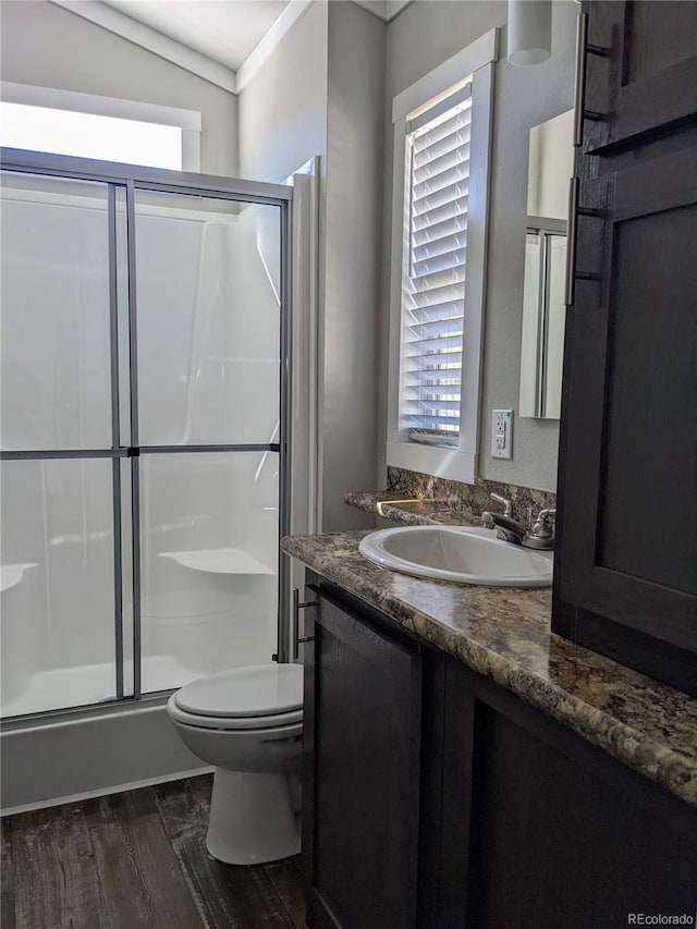 bathroom featuring toilet, vanity, a shower with door, and wood-type flooring