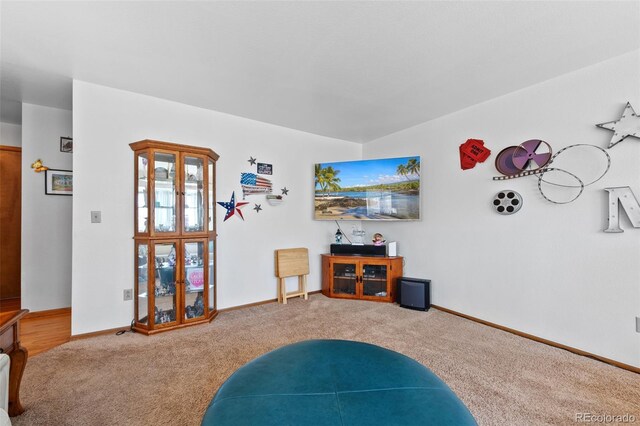 8441 Urban Ct, Arvada, CO 80005 - living area featuring baseboards and carpet floors