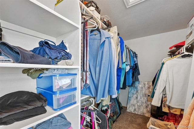 8441 Urban Ct, Arvada, CO 80005 - walk in closet featuring carpet