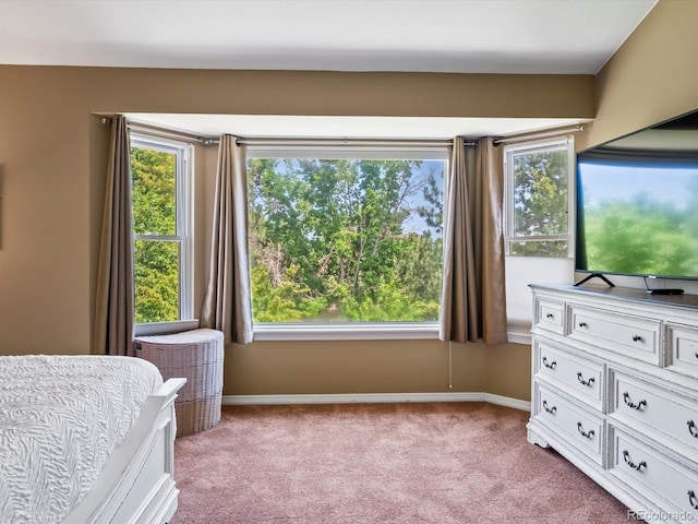 3043 W 109th Pl, Westminster, CO 80031 - bedroom with carpet and multiple windows