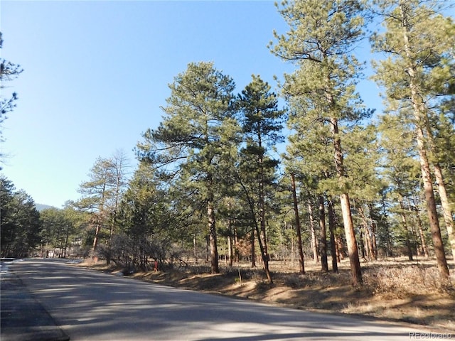 5845 S Pike Dr, Larkspur CO, 80118 land for sale