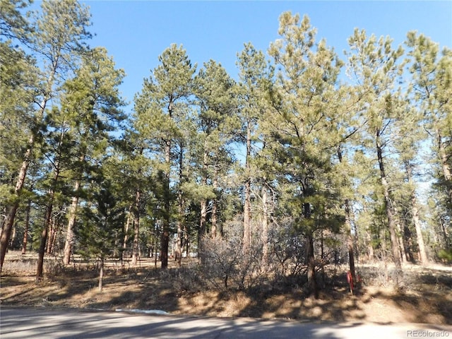 Listing photo 2 for 5845 S Pike Dr, Larkspur CO 80118