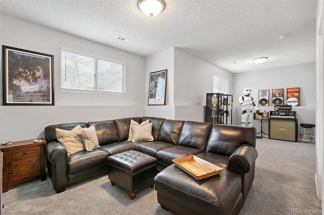 living room featuring carpet floors and a textured ceiling