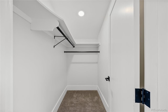 2541 Elm St, Denver, CO 80207 - photo 10