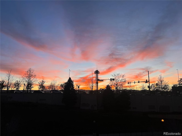 1438 Little Raven St Unit 306, Denver, CO 80202 - view of nature at dusk