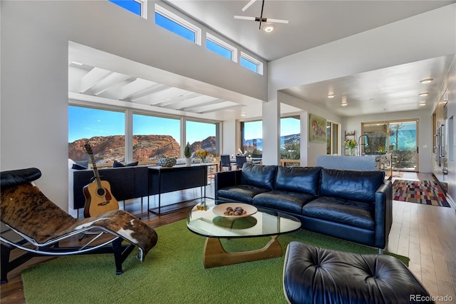 living room with hardwood / wood-style flooring and a mountain view