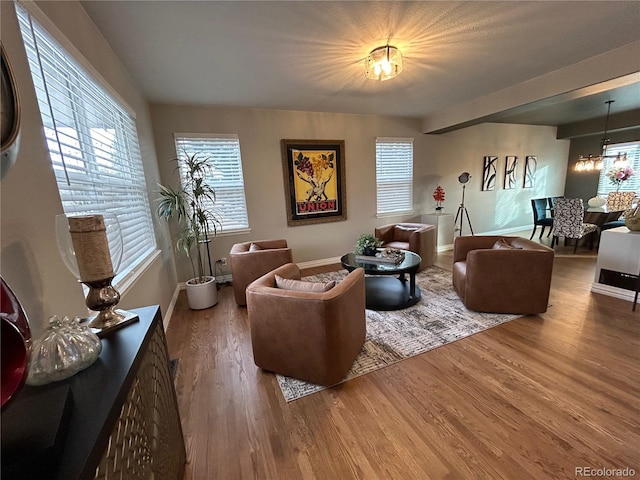 living room with a chandelier and hardwood / wood-style flooring