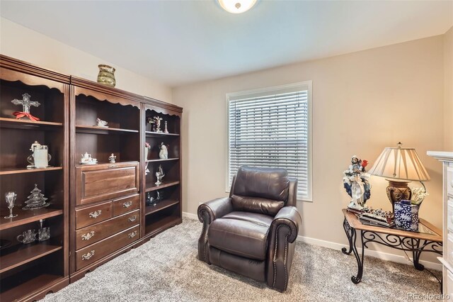 4780 Milwaukee St, Denver, CO 80216 - photo 21
