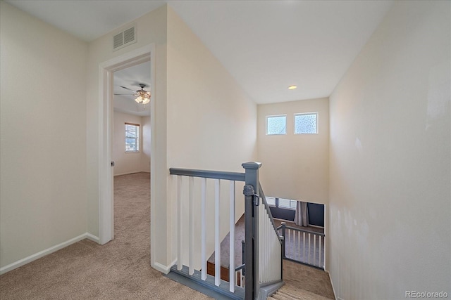 stairs featuring carpet flooring