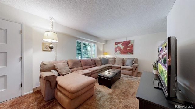 663 S Xenon Ct, Lakewood, CO 80228 - living room featuring carpet and a textured ceiling
