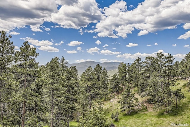 property view of mountains featuring a wooded view