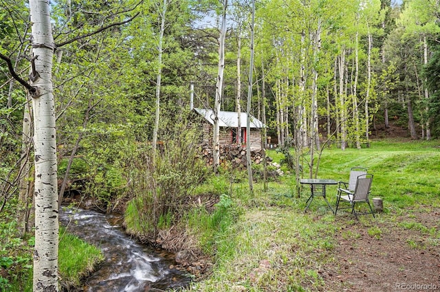 1632 Caribou Rd, Nederland, CO 80466