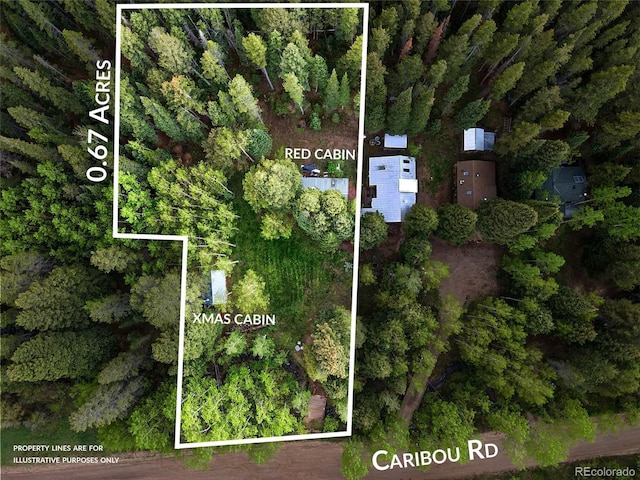 1632 Caribou Rd, Nederland, CO 80466