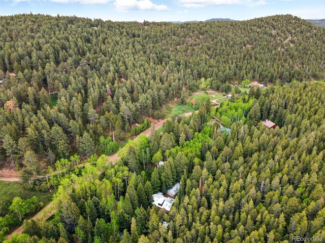 1632 Caribou Rd, Nederland, CO 80466