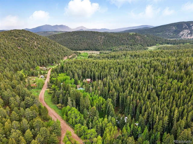 1632 Caribou Rd, Nederland, CO 80466