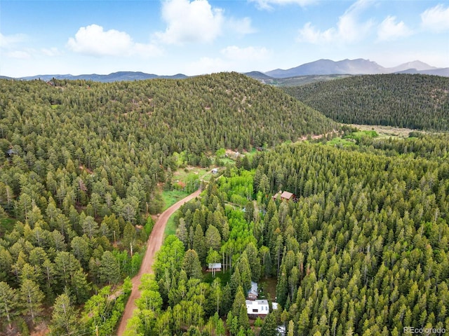 1632 Caribou Rd, Nederland, CO 80466