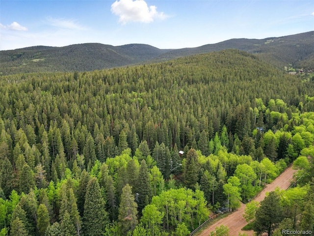 1632 Caribou Rd, Nederland, CO 80466