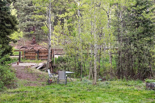 1632 Caribou Rd, Nederland, CO 80466
