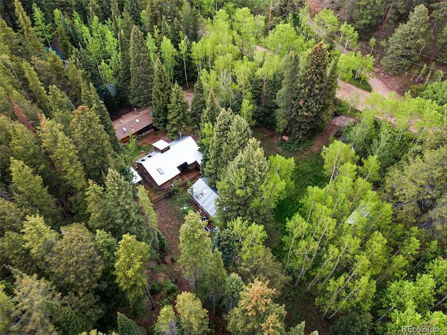 1632 Caribou Rd, Nederland, CO 80466
