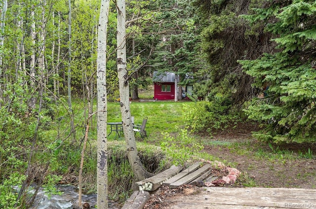 1632 Caribou Rd, Nederland, CO 80466