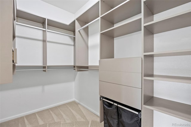 8987 E Otero Pl, Centennial, CO 80112 - walk in closet featuring carpet