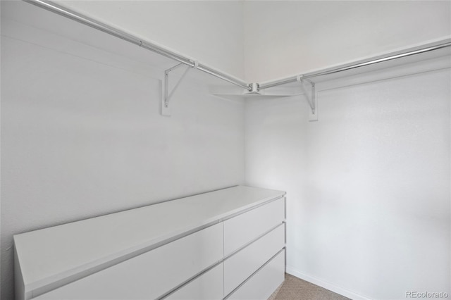 8987 E Otero Pl, Centennial, CO 80112 - walk in closet with light colored carpet