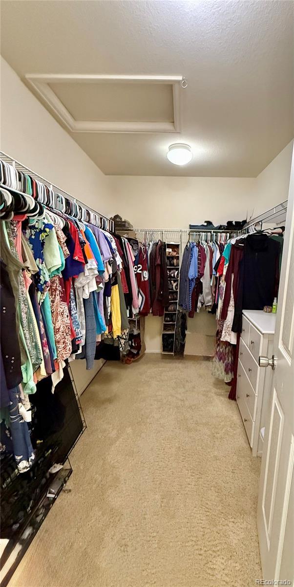 16063 E 106th Ct, Commerce City, CO 80022 - walk in closet featuring carpet floors and attic access