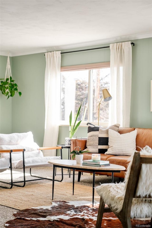 living area with ornamental molding