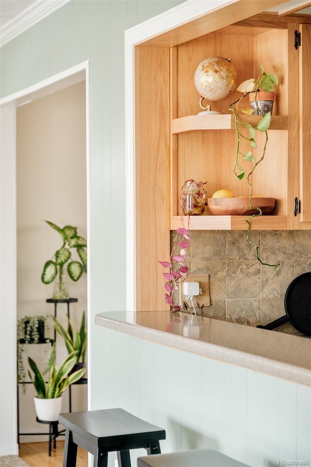 interior space with backsplash and crown molding