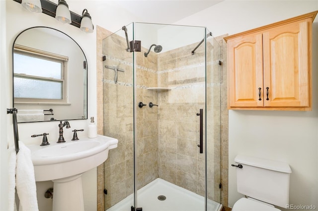 bathroom with toilet, a stall shower, and a sink